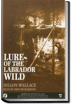 The Lure of the Labrador Wild by Dillon Wallace