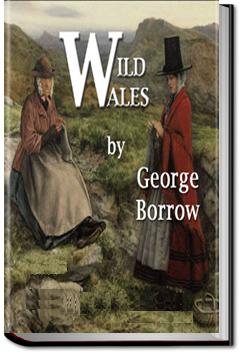 Wild Wales by George Henry Borrow