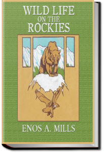 Wild Life on the Rockies by Enos Abijah Mills